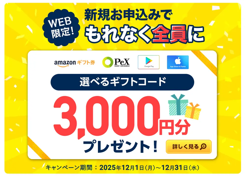 WEB限定・新規申し込みで3,000円プレゼント